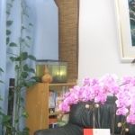 十条　あかまつ整骨院3